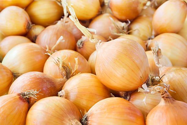 Onions Full frame image of a large group of fresh onions. onion stock pictures, royalty-free photos & images