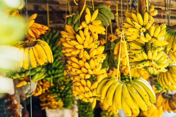 obstmarkt unter freiem himmel mit bananen - pineapple plantation stock-fotos und bilder