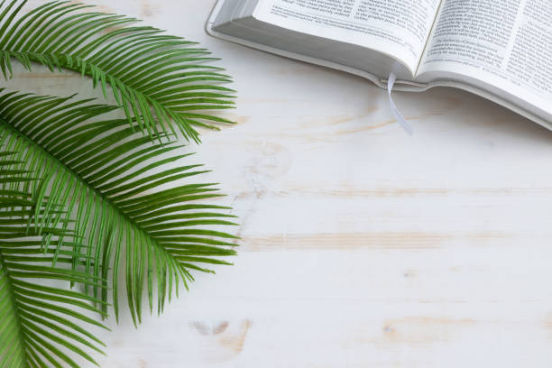 Open bible and palm fronds on white Partial open bible and green palm branches on a white wood background with copy space shot from above easter sunday stock pictures, royalty-free photos & images