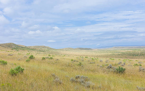 offene prarie, grasflächen und wüsten-beifuß nahe vermillion, nebraska, usa. - south dakota landscape stock-fotos und bilder