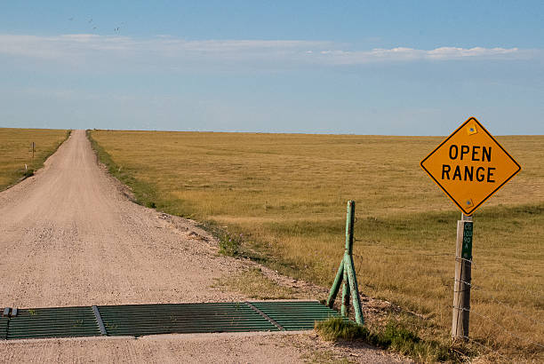 open range sign and road by cattle guard northeast Colorado An open range sign and road by cattle guard in northeast Colorado near Keota and Pawnee Buttes.  cattle grid stock pictures, royalty-free photos & images
