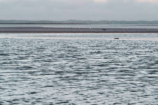 Open water and sand flats exposed at low tide Open water and sand flats exposed at low tide in Strangford Lough, County Down, Northern Ireland. strangford lough stock pictures, royalty-free photos & images