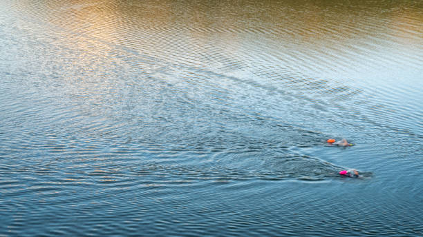 open water swimmers with swim buoys stock photo