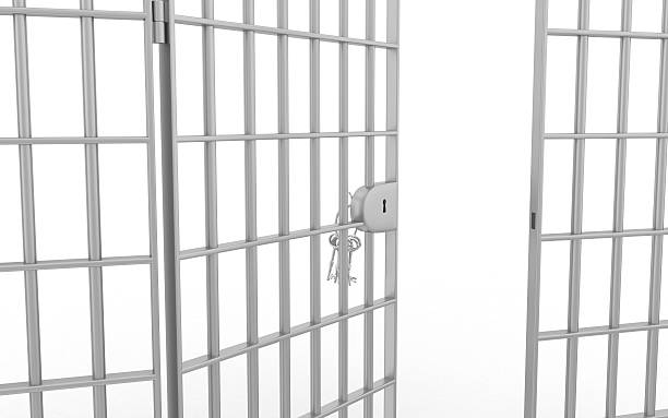 Image result for jail bars door open