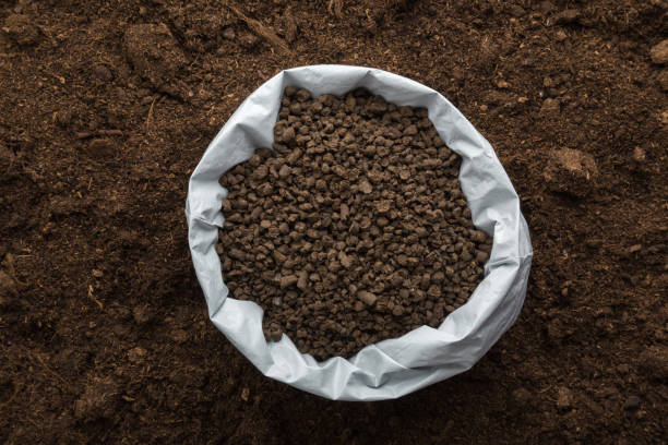 Opened plastic bag with black granules of chicken manure on dark soil background. Closeup. Product for root feeding of vegetables, flowers and plants. Top down view. stock photo