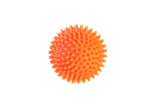 Orange ball for dog teeth isolated on white background. Dog's toy for gnawing. spiked stock pictures, royalty-free photos & images