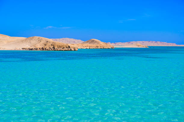 Orange Bay Beach with crystal clear azure water and white beach -  hammock in the water for relaxing - paradise coastline of Giftun island, Mahmya, Hurghada, Red Sea, Egypt. stock photo
