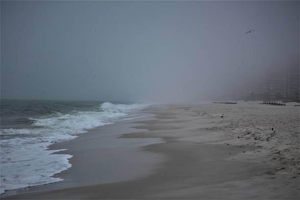 Photo of Orange Beach Alabama