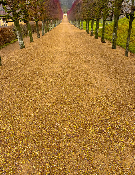 Orange path between trees in a garden stock photo
