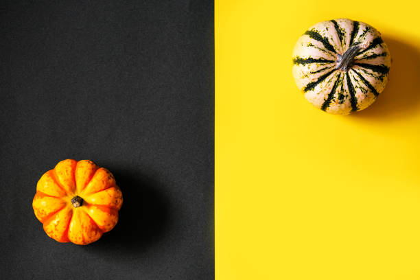 orange pumpking on black background. Autumn, Halloween and Thanksgiving. stock photo