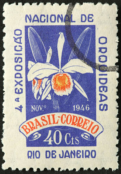 orchid on an old Brazilian postage stamp stock photo