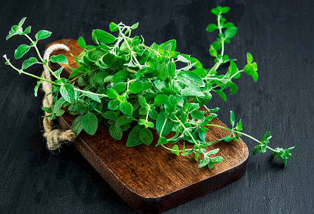 Oregano aromatic herb bunch on wooden board stock photo