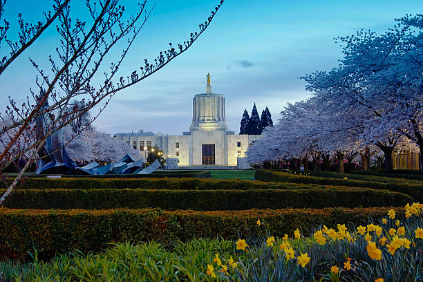 Oregon State Capitol in blue hour Salem, Oregon, USA - March 17th, 2014. Oregon State Capitol in blue hour. Blooming trees in city park near government building oregon state capitol stock pictures, royalty-free photos & images