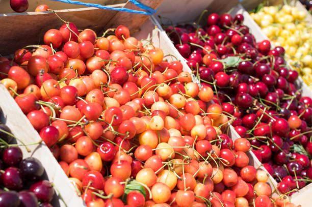 Organic Cherry market stock photo