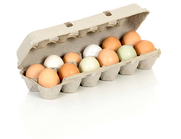 Organic Eggs from Free Range Chickens stock photo