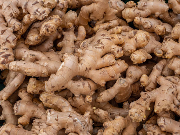 Organic ginger at the weekly market stock photo