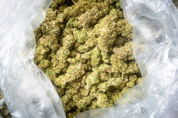 12,606 Bag Of Weed Stock Photos, Pictures & Royalty-Free Images - iStock