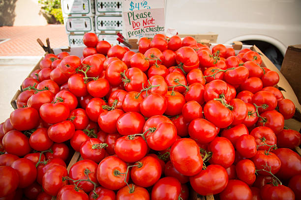Organic Tomatoes At Farmers Market stock photo