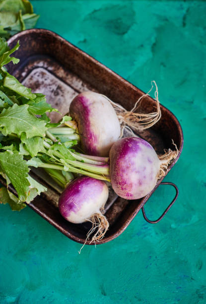 Organic Turnips Organic Turnips in vintage roasting tray on green painted surface turnip stock pictures, royalty-free photos & images