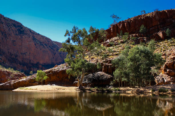 Ormiston Gorge, Central Australia stock photo