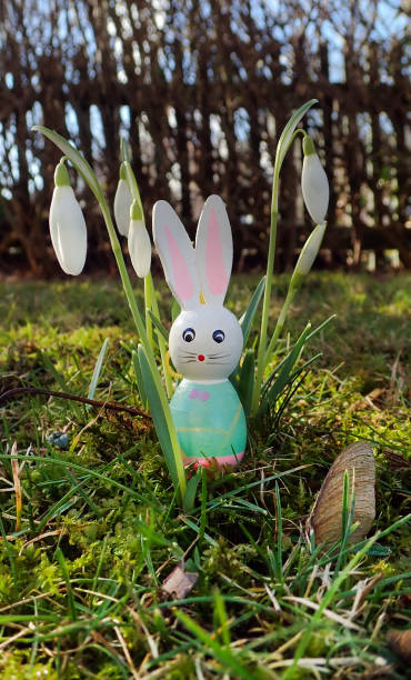 Osterfrühling  easter sunday stock pictures, royalty-free photos & images