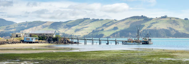 Otago peninsula stock photo