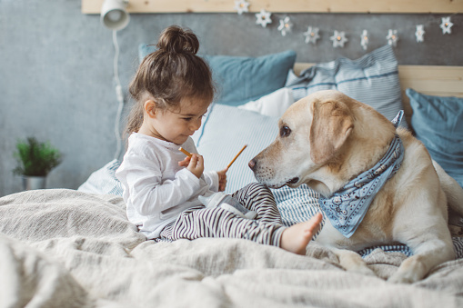 Dog and boy resting on bed, they are preparing for nap.