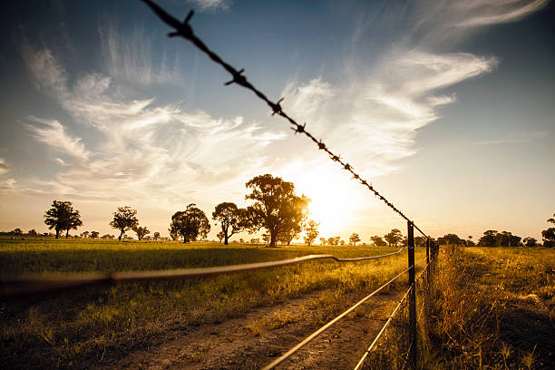 Outback Australia Sunset over the Hay plains in Australia barbed wire stock pictures, royalty-free photos & images