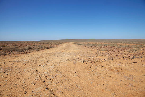 Outback Track stock photo