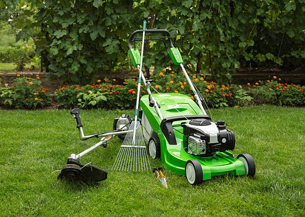 Outdoor shot of garden equipment Green lawnmower, weed trimmer, rake and secateurs in the garden gardening equipment stock pictures, royalty-free photos & images