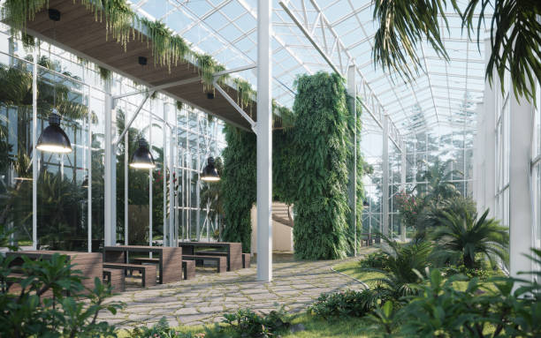Outdoors greenhouse with an area to sit and picnic generated digitally Digitally generated image of a greenhouse which also has tables for people to have picnics greenhouse table stock pictures, royalty-free photos & images