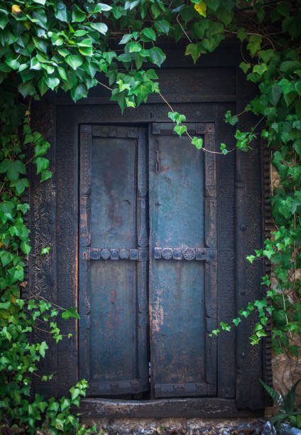 porta giardino segreta ricoperta di vegetazione - case antiche foto e immagini stock