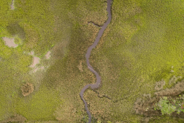 Overhead Perspective of Tidal Marsh in St. Marys, Georgia stock photo