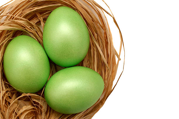 Overhead view of a nest with three green eggs stock photo