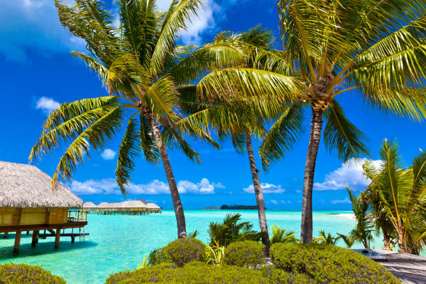Overwater Bungalows in Tropical Island Paradise of Bora Bora, Tahiti stock photo