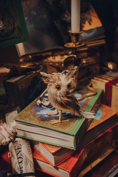 Owl on top of Harry potter books in the window of MinaLima design studio in Covent Garden, London, UK. stock photo