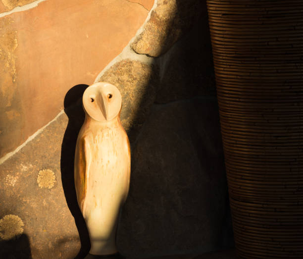 Owl Shadows stock photo