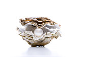istock Oyster with Pearl 1124498370