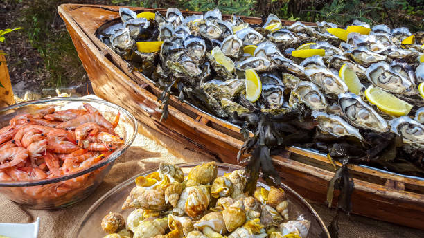 buffet d’huîtres à arcachon, france - bulots photos et images de collection