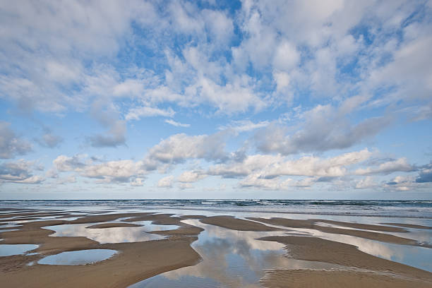 Pacific Ocean Beach at Low Tide Low tide at the Pacific Ocean often leaves a pattern in the sand. Combine that with the ocean clouds and it makes for a very pretty scene. This picture was taken in the early morning at Rockaway Beach near Tillamook, yyy, USA. jeff goulden oregon coast stock pictures, royalty-free photos & images