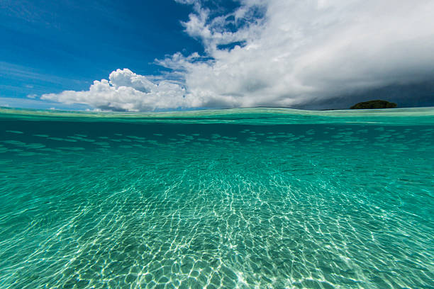 Pacific Ocean Stunning low angle view from the Pacific Ocean in Palau, Micronesia babeldaob island stock pictures, royalty-free photos & images