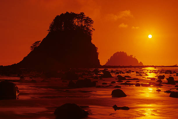 Pacific Ocean Sunset and Rock Formations Sunsets over the Pacific Ocean can be colorful and spectacular. The rocky sea stacks make an interesting frame for the setting sun. This picture was taken at Cape Alava in Olympic National Park, Washington State, USA. jeff goulden seascape stock pictures, royalty-free photos & images