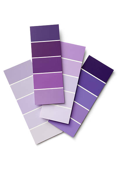 Paint: Purple Colour Samples Isolated on White Background More Photos like this here... color swatch stock pictures, royalty-free photos & images