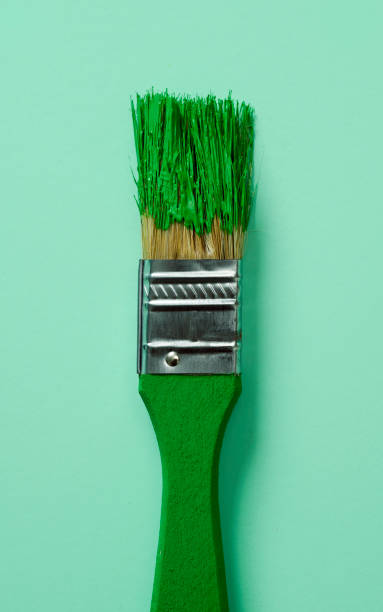 paintbrush with green paint stock photo