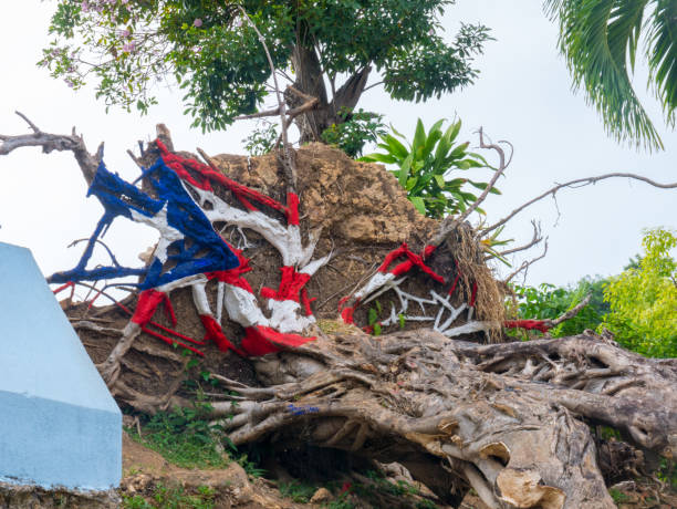 Painted Puerto Rico state flag on uprooted tree from Hurricane Maria in San Juan, Puerto Rico. stock photo