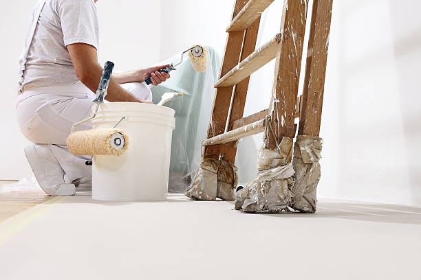 painter man at work with a roller, bucket and ladder - schilderen stockfoto's en -beelden