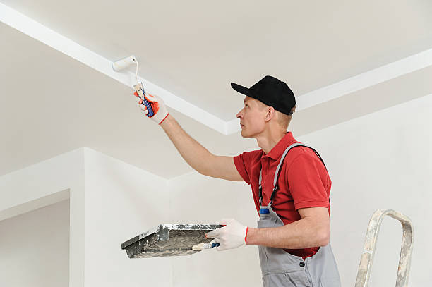 painting the ceiling and walls. - schilderen stockfoto's en -beelden