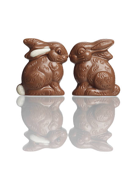 Pair of Chocolate Rabbits stock photo
