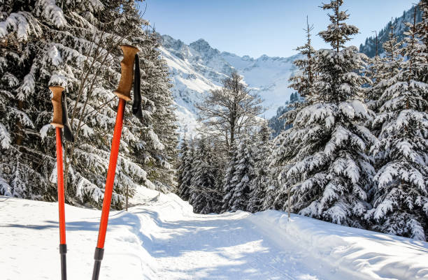 Pair of hiking sticks in snow. Sporting activity in mountains winter landscape and forest. Pair of red ski sticks in snow. Sporting activity in mountains winter landscape and forest. Allgau Alps, Bavaria in Germany. allgau alps stock pictures, royalty-free photos & images