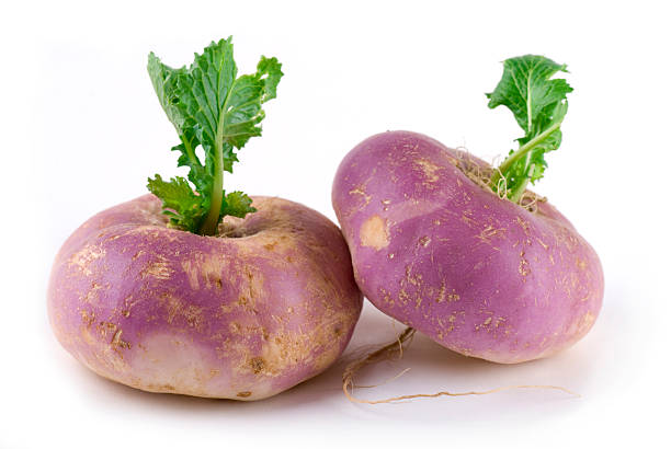 Pair of purple turnips with green leaves Two turnips on white background. turnip stock pictures, royalty-free photos & images